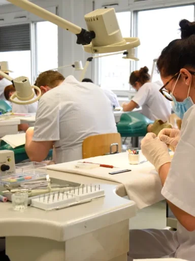 Faculté d'odontologie de Lyon 1